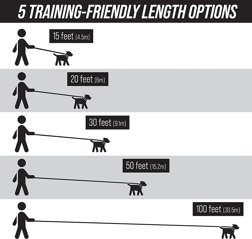 Free Range - Long Dog Leash for Large Dogs + Drawstring Backpack - 1 Inch Nylon Training Lead with Padded Handle (Black) (30 Ft)